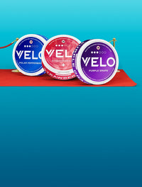 Discover VELO: Tobacco-Free Nicotine Pouches